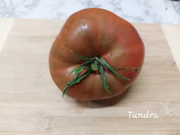 Tomaten: Tundra