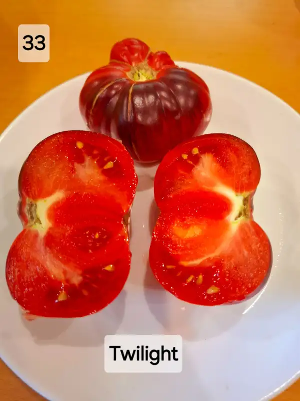 Tomaten: Twilight