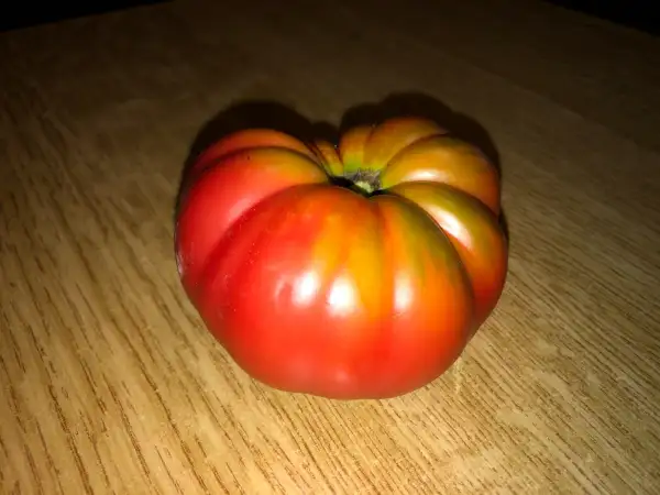 Tomaten: Tyrnovsky Rozovyi