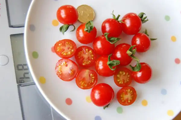 Tomaten: Ugina