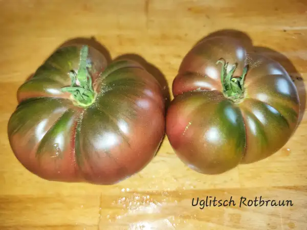Tomaten: Uglitsch Rotbraun