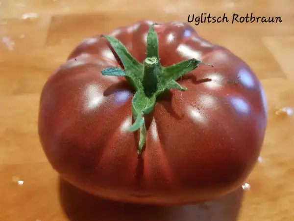 Tomaten: Uglitsch Rotbraun