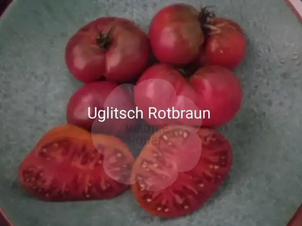 Tomaten: Uglitsch Rotbraun