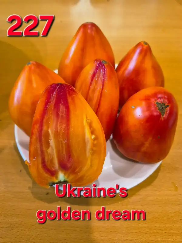 Tomaten: Ukraine