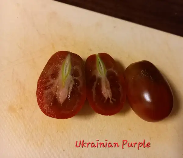 Tomaten: Ukrainian Purple