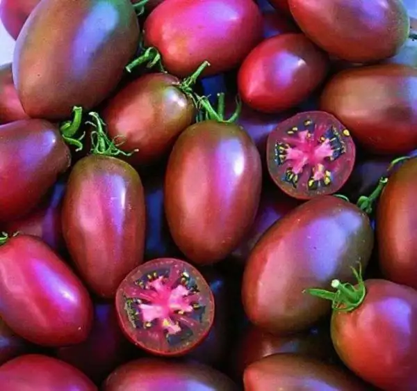 Tomaten: Ukrainian purple