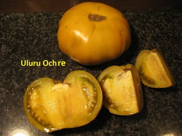 Tomaten: Uluru Ochre