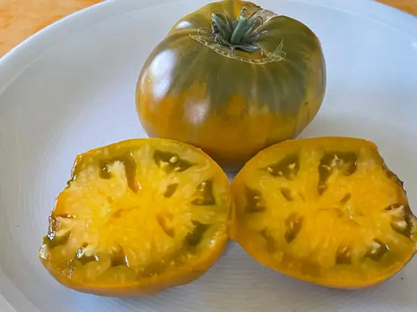 Tomaten: Uluru Ochre Dwarf - Buschtomate