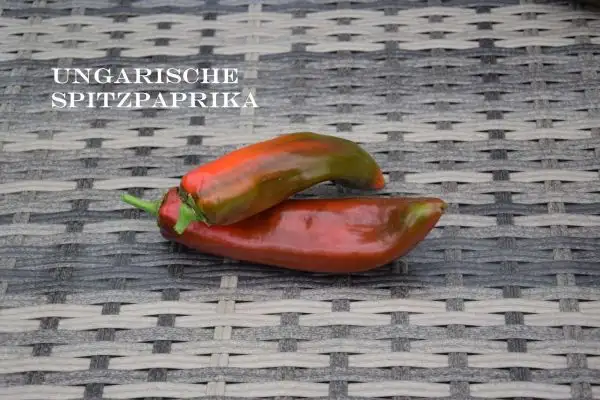 Chili / Paprika: Ungarische Spitzpaprika