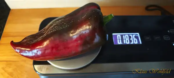 Chili / Paprika: Urfa Aci Biber