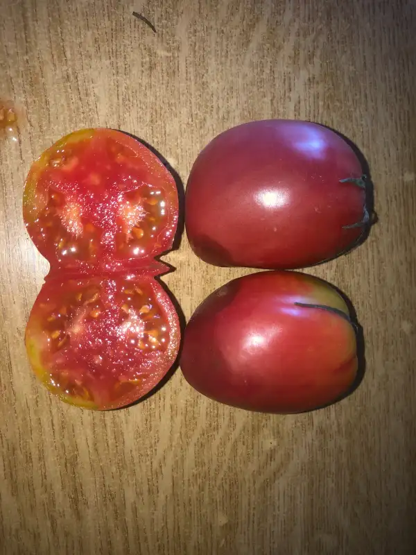 Tomaten: USA Pointue