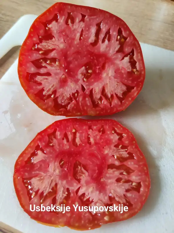 Tomaten: Usbeksiye Yusupovskije