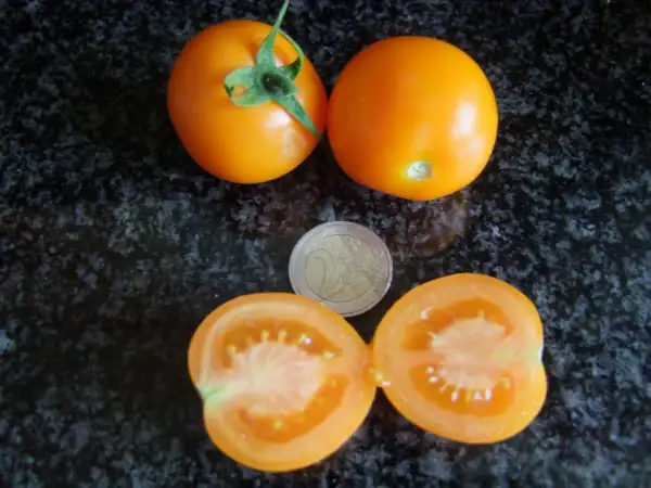 Tomaten: Utenok – Entlein MD