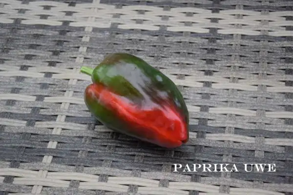 Chili / Paprika: Uwe