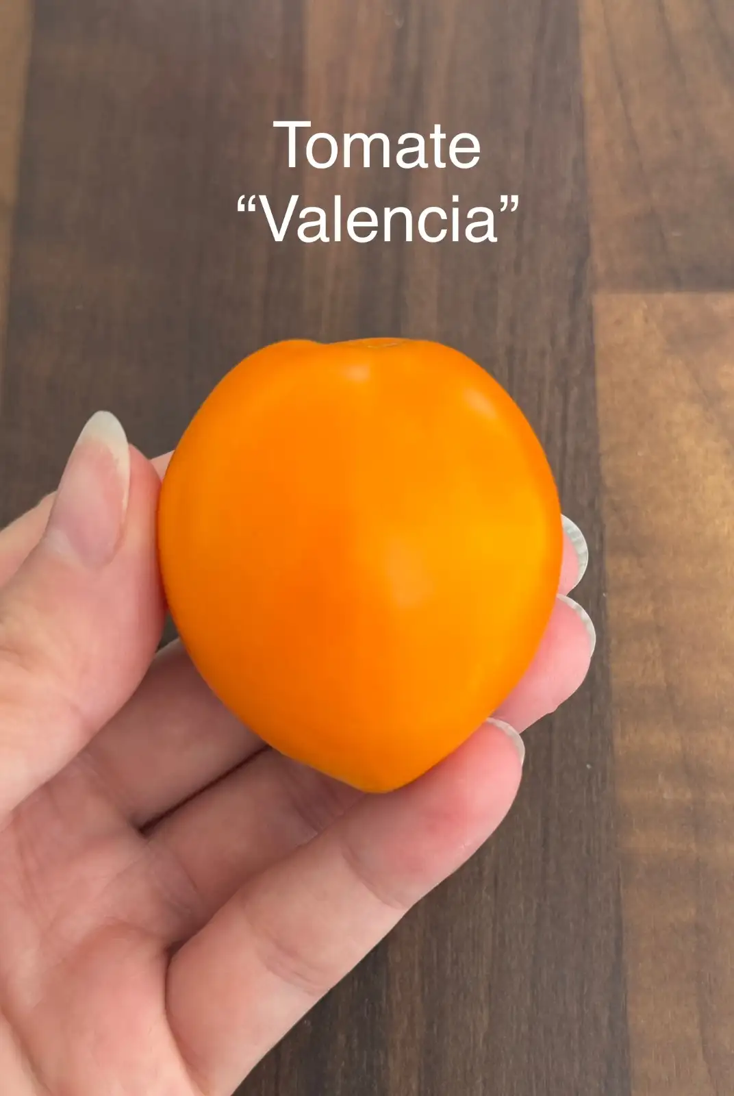 Tomaten: Valencia