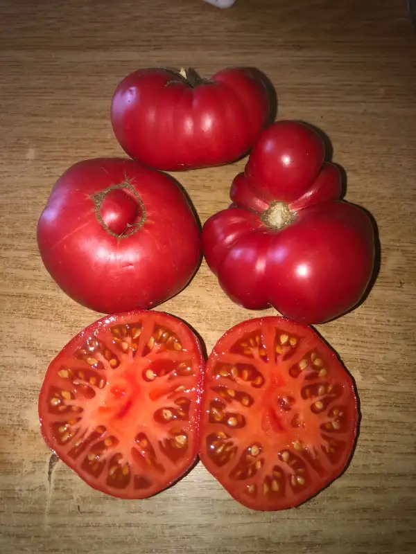 Tomaten: Vanskiy Rozovy