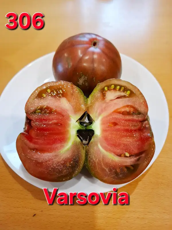 Tomaten: Varsovia