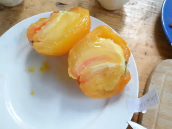 Tomaten: Vashe Velichestvo ( Kat# 2426 )