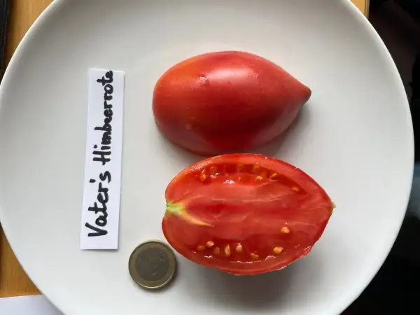 Tomaten: Vater´s Himbeerrote