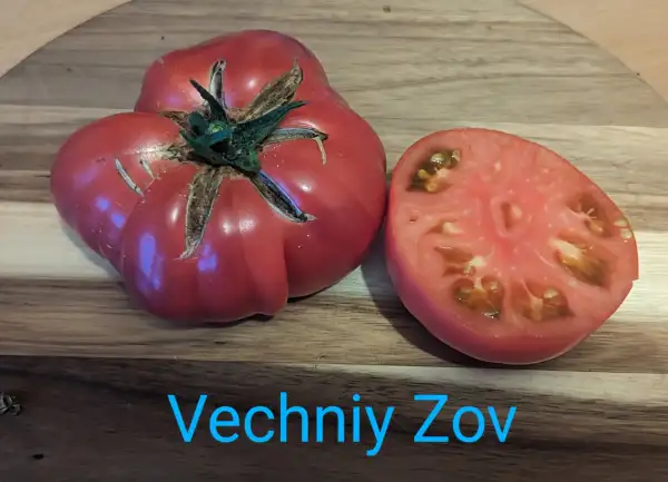 Tomaten: Vechniy Zov