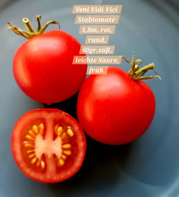 Tomaten: Veni Vidi Vici