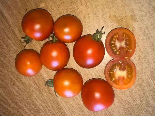 Tomaten: Veni Vidi Vici