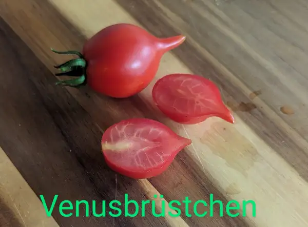 Tomaten: Venusbrüstchen