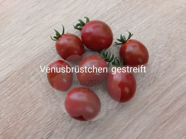 Tomaten: Venusbrüstchen gestreift