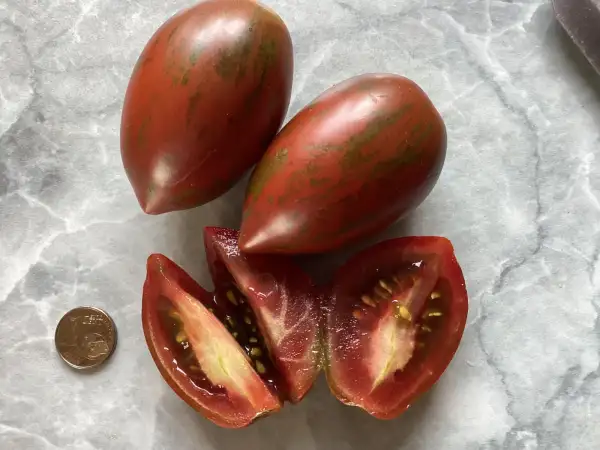 Tomaten: Venusbrüstchen schwarz