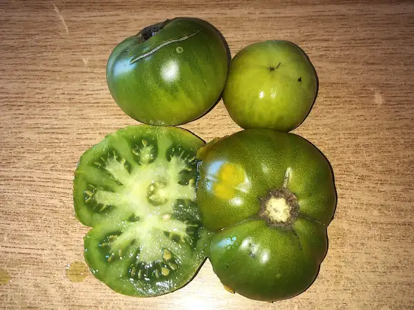 Tomaten: Verde d
