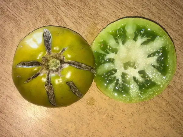 Tomaten: Verde de Cazorla