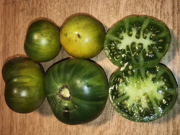 Tomaten: Verde del Margen