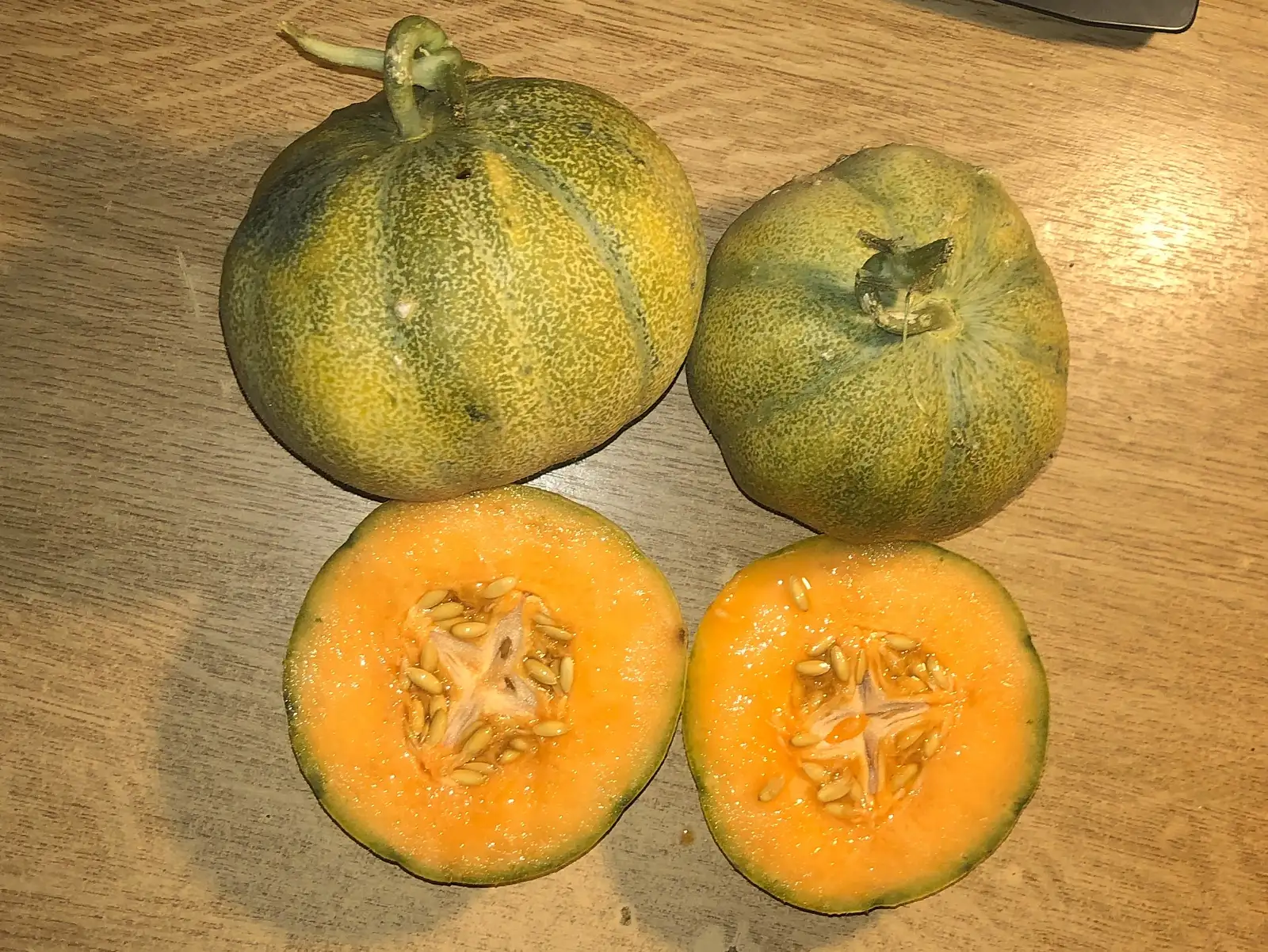 Melonen: Vert de Bresse melone