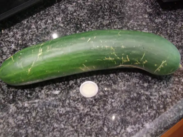 Gurken: Vespergurke Sensation