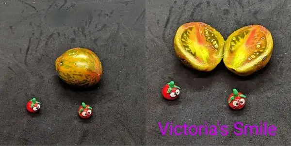 Tomaten: Victoria