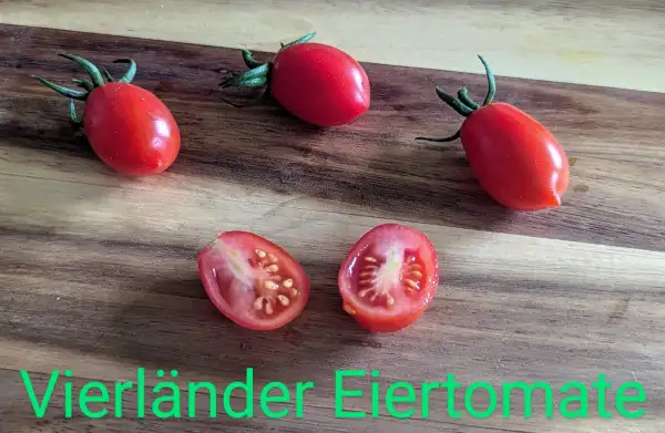 Tomaten: Vierländer Eiertomate