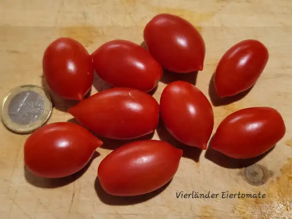 Tomaten: Vierländer Eiertomate