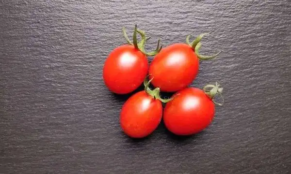 Tomaten: Vierländer Eiertomate