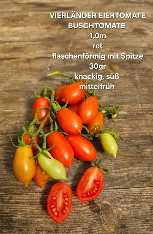 Tomaten: Vierländer Eiertomate