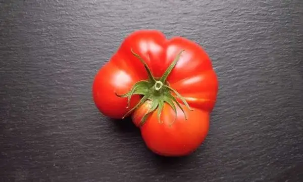 Tomaten: Vierländer Plattrunde