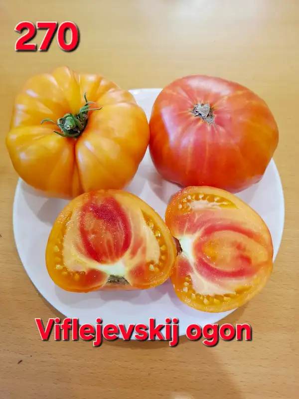 Tomaten: Viflejev fire