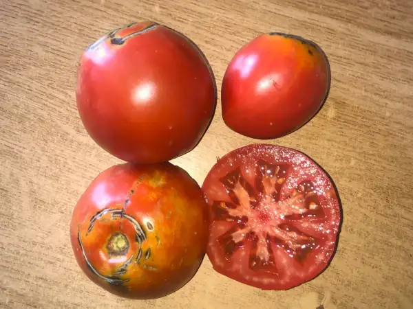 Tomaten: Villariego Gigante