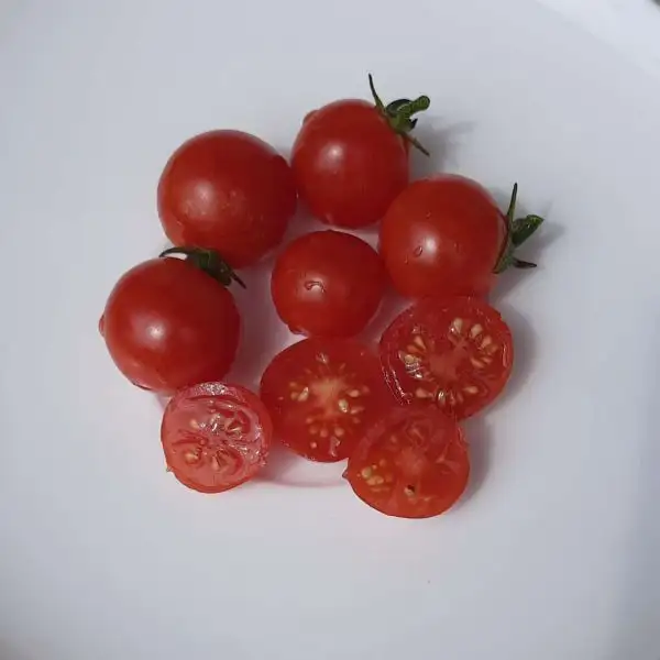 Tomaten: Vilma