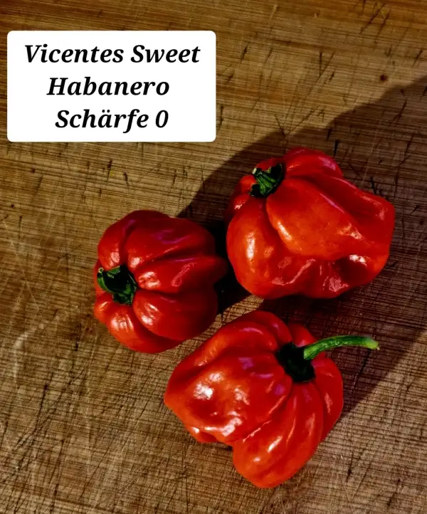 Chili / Paprika: Vincentes Sweet Habanero