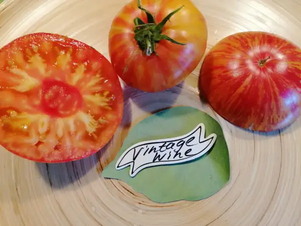 Tomaten: Vintage Wine
