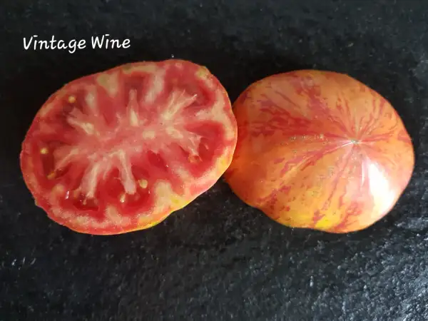 Tomaten: Vintage Wine