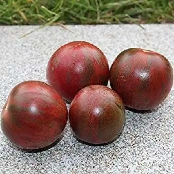 Tomaten: Violet Jasper