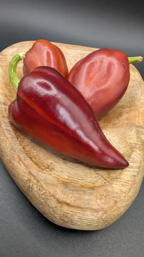 Chili / Paprika: Violet Sparkle
