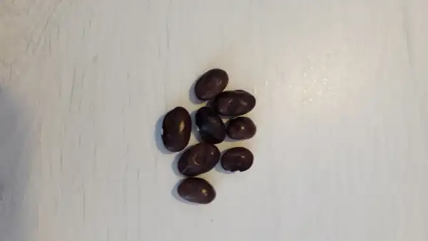 Bohnen: violet turc