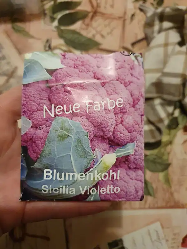 andere Gemüse: Violetter Blumenkohl - Sicilia Violetto